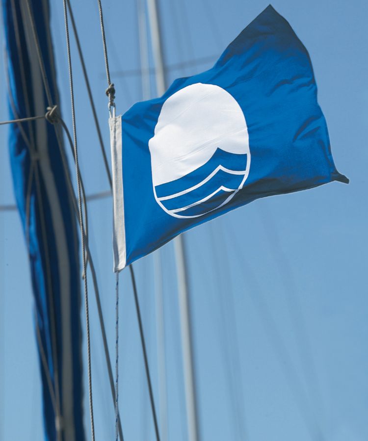Blue Flag Global Blue Flag Global